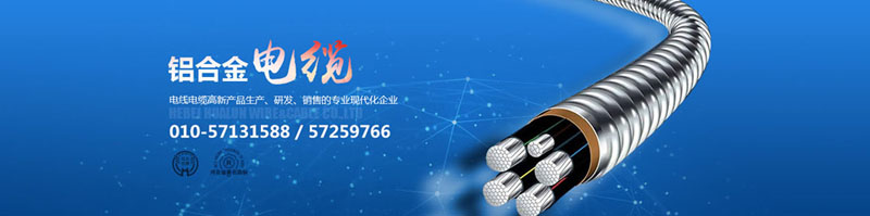 滄州市統(tǒng)計工作規(guī)范化建設(shè)推進(jìn)會在華倫公司順利召開！